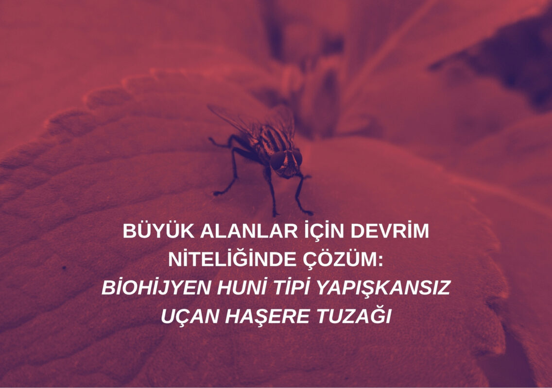 açık alan sinek tuzağı