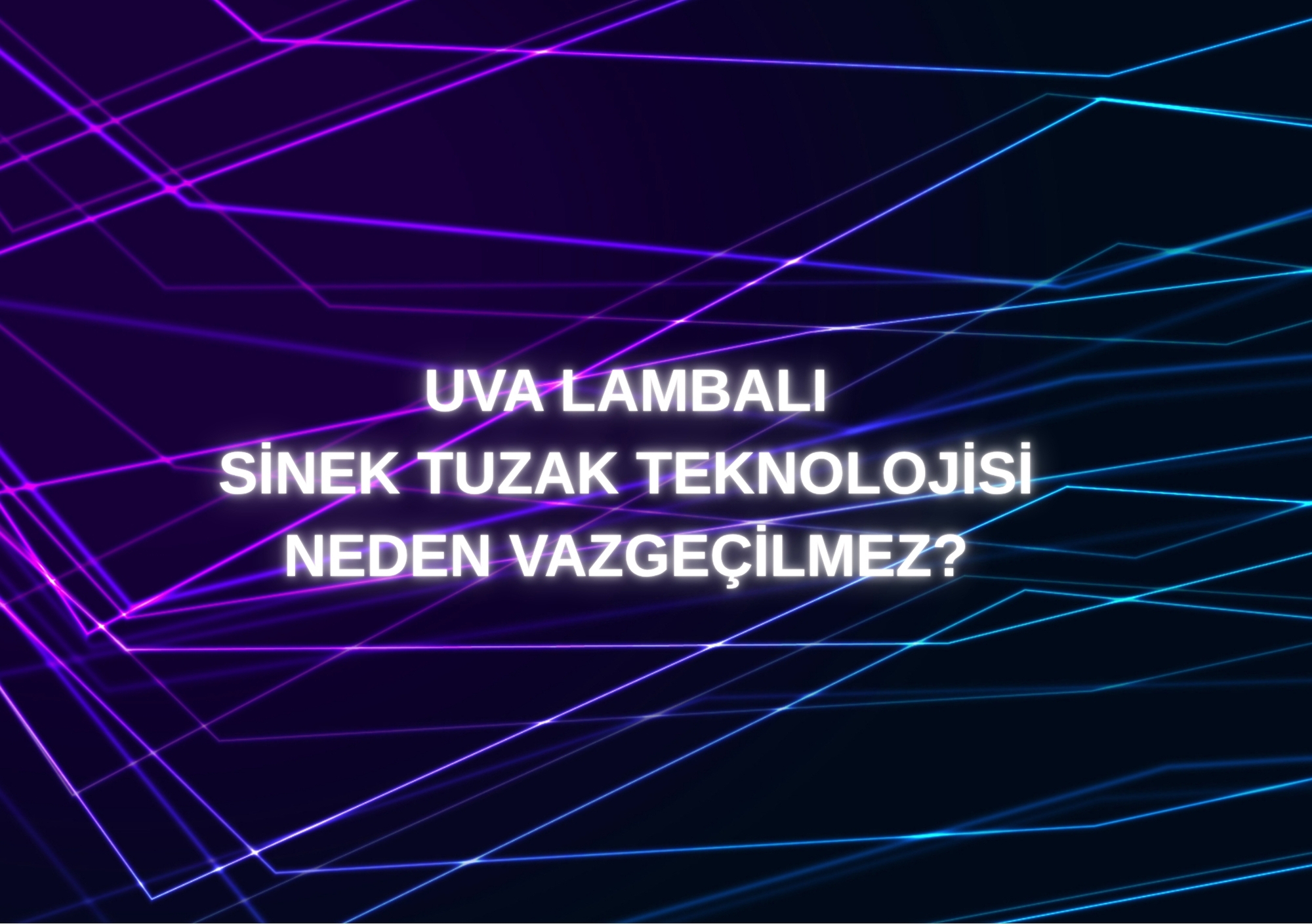 UVA Lambalı Sinek Tuzak