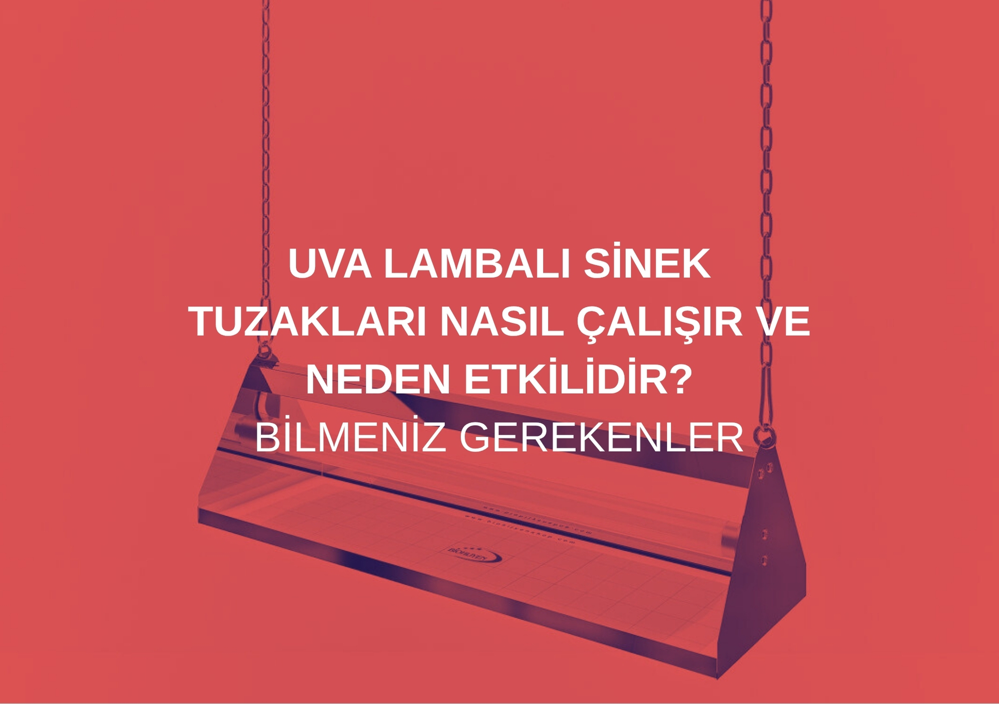UVA Lambalı Sinek Tuzakları Nasıl Çalışır ve Neden Etkilidir? Bilmeniz Gerekenler