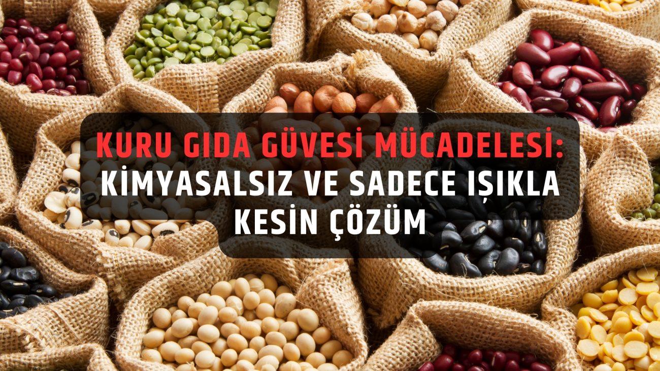 kuru gıda güvesi mücadelesi