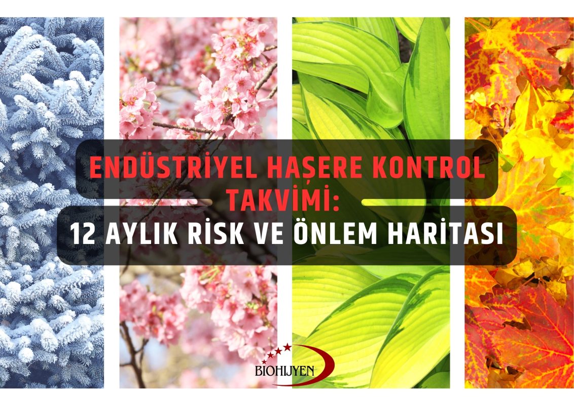 endüstriyel haşere kontrol takvimi