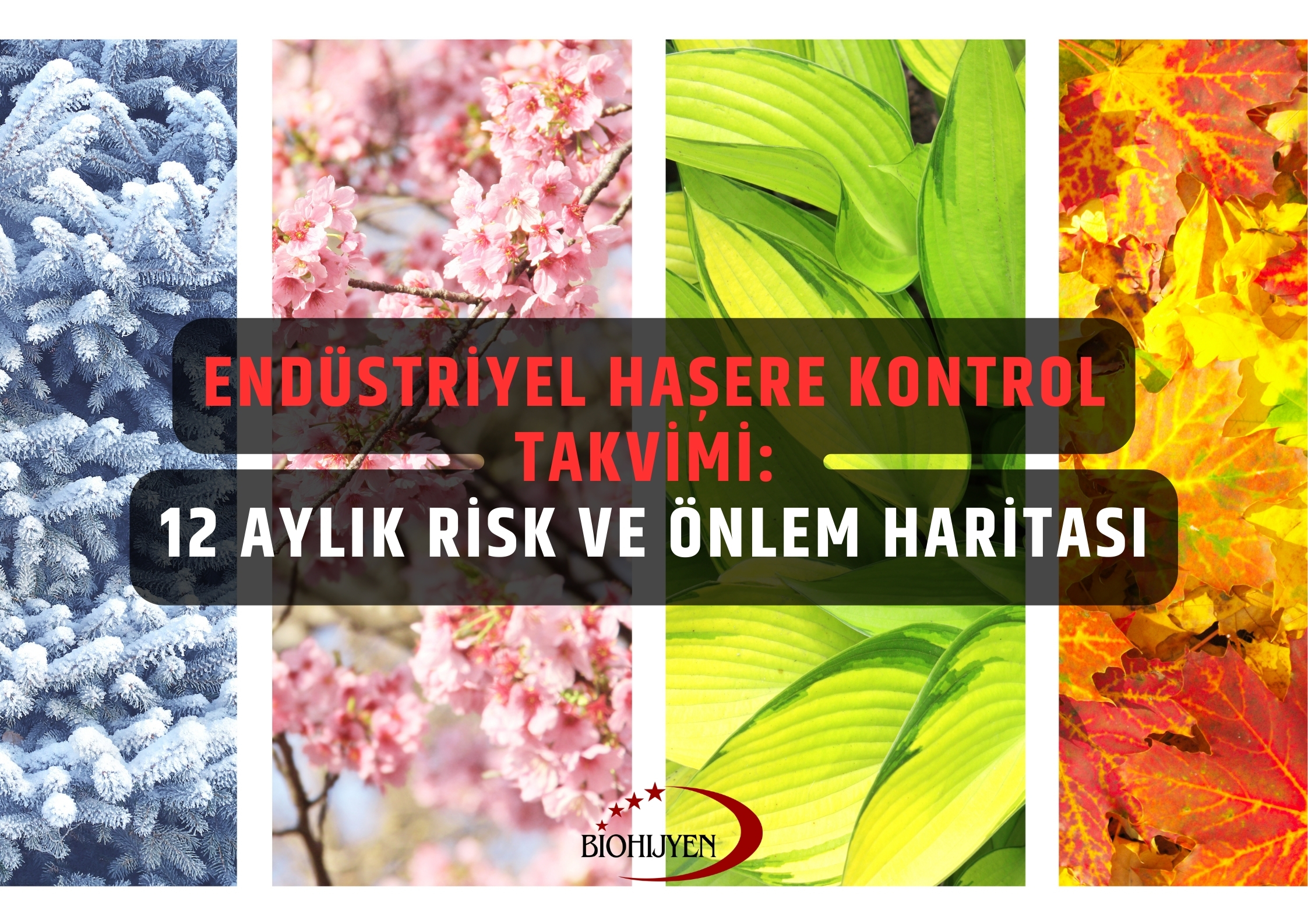 endüstriyel haşere kontrol takvimi